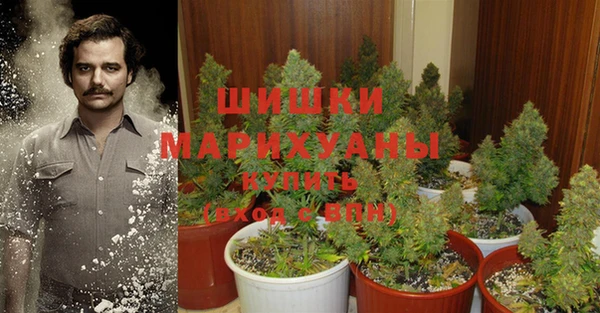 наркотики Бородино