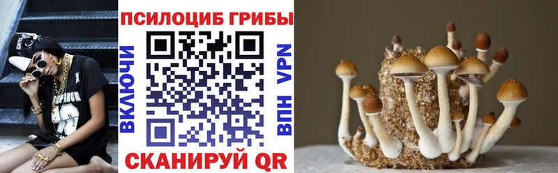 Псилоцибиновые грибы GOLDEN TEACHER  Купить закладки  Малмыж 