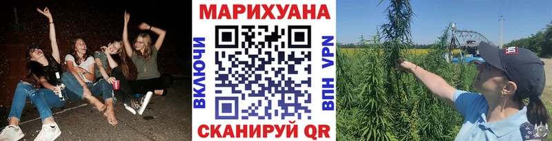 Купить закладки  Малмыж  Марихуана VHQ 